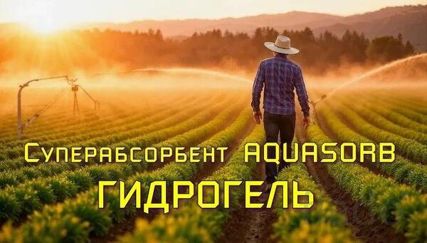 Гидрогель Аквасорб реагент для удержания воды в почвах
