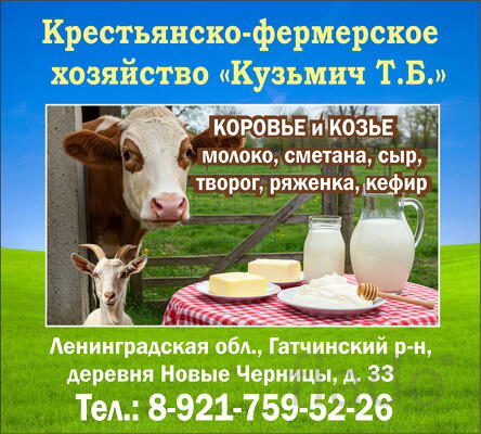 Фермерские молочные продукты в Гатчинском районе