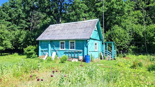 Дом 55 м² на участке 16 сот.