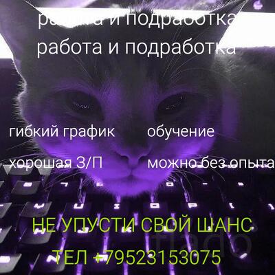 Бизнес-компания