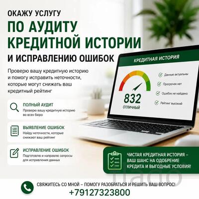 Кредитная история (аудит)