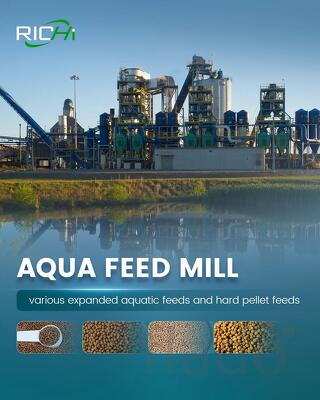Turnkey Floating Fish Feed Plant