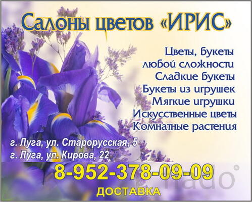 Салоны цветов Ирис в Луге, цветы, букеты, компози