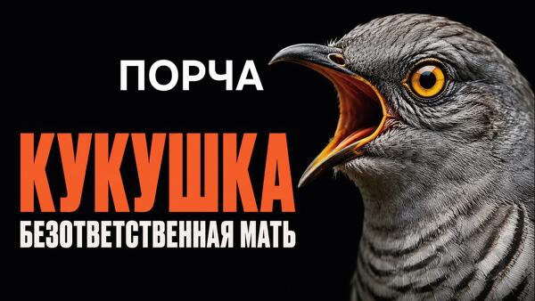 Якутск. Порча ( Кукушка ) Чтобы Мать Отказалась Сама От Детей