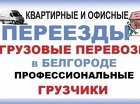 Услуги опытных грузчиков в Белгороде