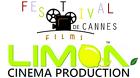Международный фестиваль детского кино и телевидения "LIMON"(Франция)