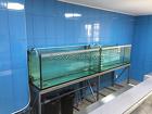 Изготовление торговых аквариумов под ключ в Крыму