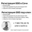 Регистрация ООО в Сочи, Адлере
