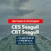 Сдача Seagull CES, Seagull CBT и других тестов для моряков