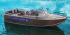Купить лодку (катер) Wyatboat-430 TM