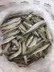 Продажа рыбы в СПб - корюшка свежемороженая