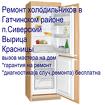 Ремонт холодильников в п.Сиверский