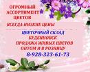 Цветочный склад, опт-розница, низкие цены Буденновск