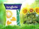 Гибриды семена подсолнечника Суванго HTS Express Syngenta