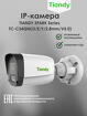 Камера IP Tiandy Spark TC-C34QN I3/E/Y/2.8mm