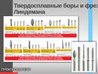 Твердосплавные боры и фреза Линдемана