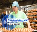 Упаковщик укладчик колбасы