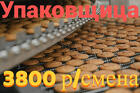 Упаковщица. Вахта в г.Гороховец