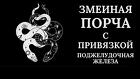 Москва. Чёрная Магия. Змеиная Порча На Заболевание Поджелудочной