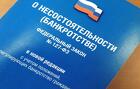 Задолжали банкам, МФО или людям? Законно освободим от долгов