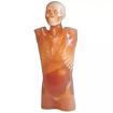 CTU-41 Монолитный КТ фантом торса Ref.PH4 CT Torso Phantom