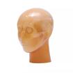 ASC Ангиографический головной КТ фантом Ref.PH3 Angiographic CT Head P