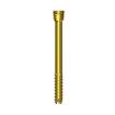 2.5mm Double Heads Compressive Cannulated Screw