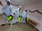 Дезинфекция, дезинсекция, дератизация и акарицидная обработка