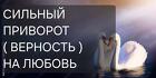 Чита. Приворот ( Верность ) На Любовь к Вам Вашего Человека