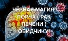 Санкт-Петербург. Чёрная Магия. Печёночно-Клеточный Рак ( Ангиосаркома