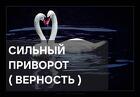 Санкт-Петербург. Чёрный Приворот ( Верность ) На Любовь