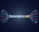 Базы номеров WhatsApp, Telegram, Viber - BasesPro