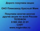 Покупаем акции ОАО Племзавод Красный Маяк и любые другие акции