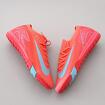 Сороконожки Nike Air ZOOM