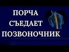 Владивосток. Сильная Порча На Позвоночник. Разрушение Позвоночника