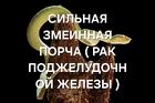 Киров. Змеинная Порча с ( Привязкой на Рак Поджелудочной Железы )