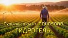 Гидрогель Аквасорб реагент для удержания воды в почвах