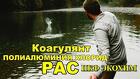 Коагулянт Полиалюминий Хлорид РАС / ПАК
