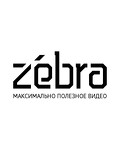 Zebra студия видеорекламы