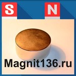 Неодимовые магниты «Magnit136.ru»