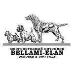 Беллами Елан многопородный питомник собак