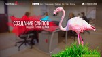 Интернет студия «Фламинго Дизайн»