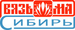 Вязьма - оборудование для прачечных и химчисток в Новосибирске