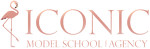 Школа ICONIC