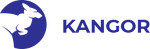«Kangor» — транспортно-логистическая компания