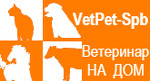Ветеринар на дом ВетПетСПб