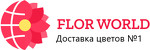 Flor-world