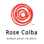 Rose-colba