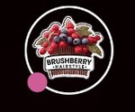 BrushBerry