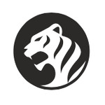 Компания по разработке мобильных приложений White Tiger Soft